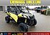2019 Can-Am Maverick 1000R DPS for sale 200695695